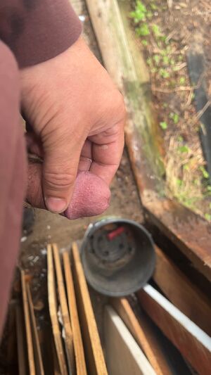 Male Pissing Cock Pee Peeing Piss