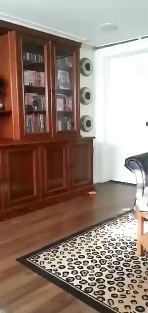 sorry its so short bit its all I got