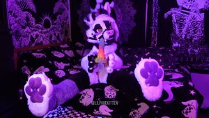Fursuit Sex Bad Dragon Dildo Doggystyle