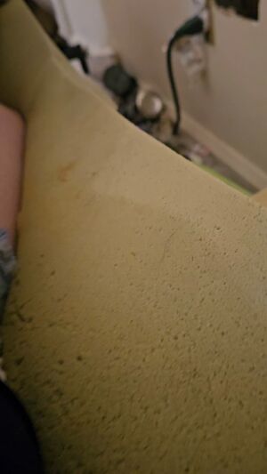 SPH Humiliation Extra Small