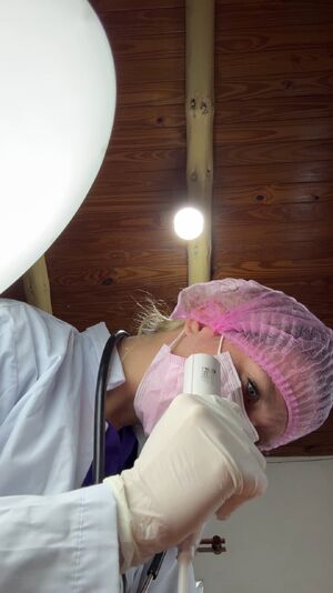 Medical Gloves Nurse