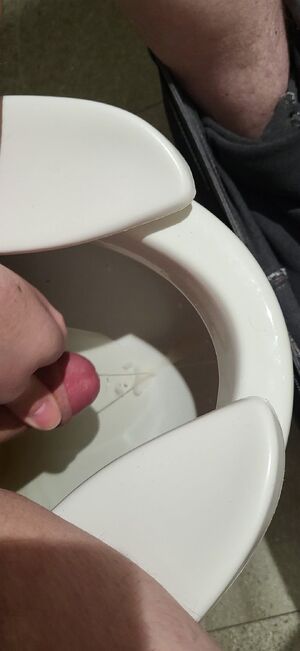 Gay Outdoors Amateur Bathroom Canadian Cumshot