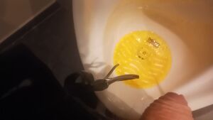 Male Pissing Amateur Pee Peeing Piss