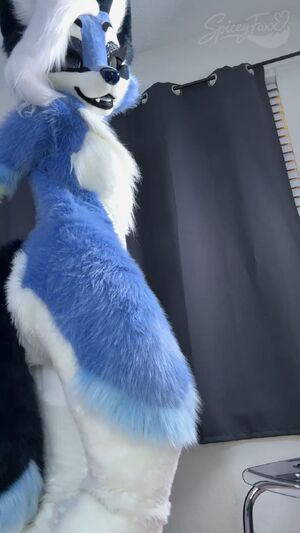 Furry Amateur Ass Cute Furries