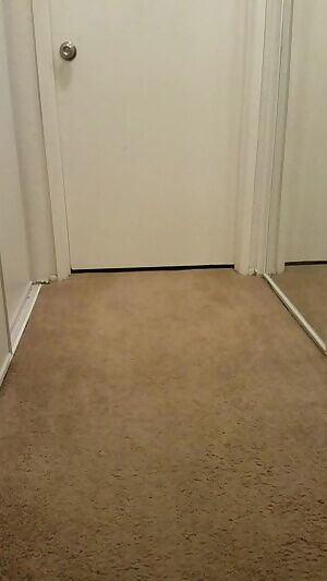 We need more gif's on /BBW where can i upload 1080p60 NSFW?