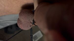 CBT JOI Ballbusting Ballplay Balls