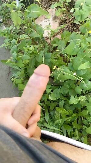 Just taking a short break from yard work