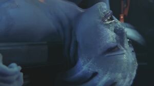 Alien 3D Animation Bouncing Tits Cum In Mouth