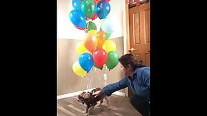 They tie a puppy to a balloon and it flies away. WTF