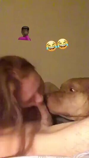 Just a doggo helping out his hooman