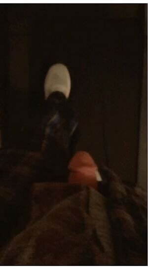 Cock's out on the prowl. Local treadmill.