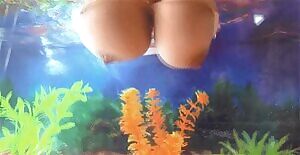 When the fish need milk