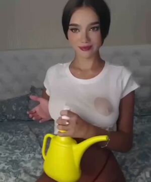 Wet Clothing Reddit T-Shirt Wetting