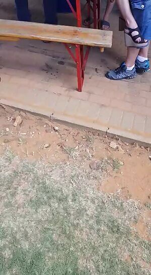 Friend from south africa sent me this