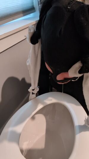 Bondage Sluts Ball Gagged Drooling Gag