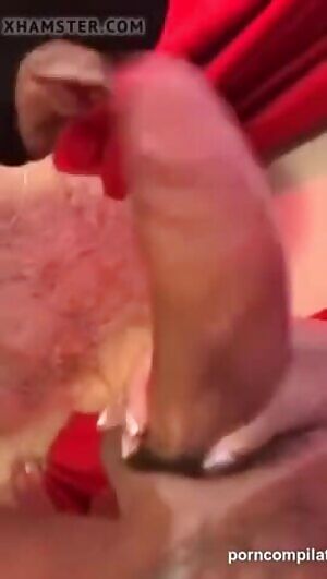 Thief gets beat down with a club