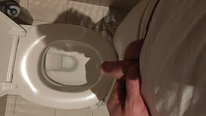 Piss POV Pee Peeing Pissing Toilet