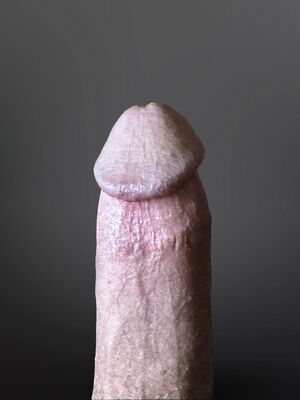 Real Cock Erection Hard Penis