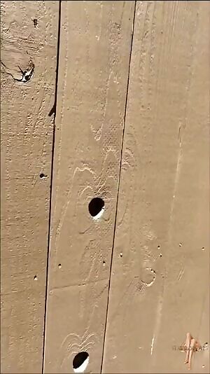 Woodpecker