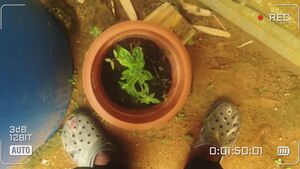 Piss POV Fetish Male Omorashi Pee