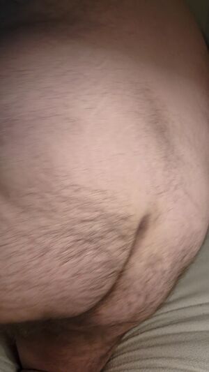 Bears Ass Bear Chubby Gay