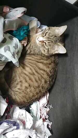 Sick of being waitlisted? 😤 come get a $25 pair, quick and easy! 😊