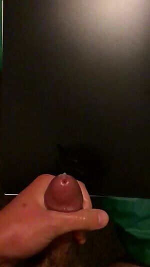 My Cumshot From Earlier