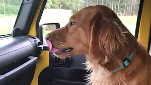 Not quite a drop, more of a bounce