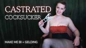 FemDom POV BDSM Bisexual CBT Fetish
