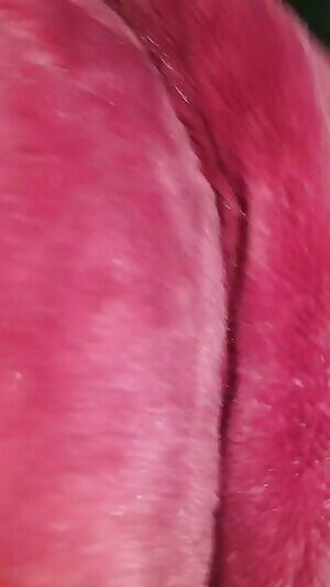 Button, Turned On and Writhing Pt. 1