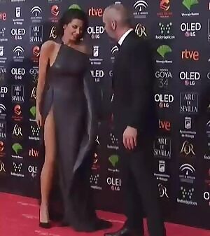 María Luisa Mayol. Spain's main national annual film awards. 25-01-2020