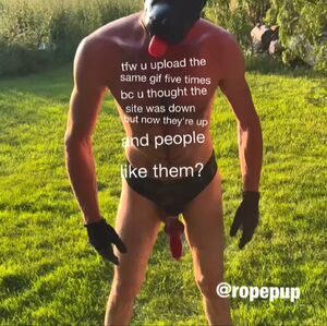 Pup Community BDSM Fucktoy Knot Outdoor