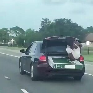 Dude fit a TV and a Dishwasher into the trunk of a sedan.