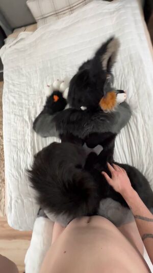 Furry Amateur Ass Furries OnlyFans