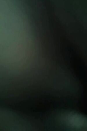 Vid describes itself 😉