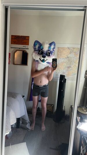 Solo Furries Femboy Furry Underwear