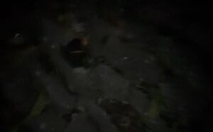 Male Pissing Big Dick Night Outdoor