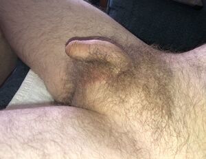 Foreskin BWC Big Dick Cock Hairy