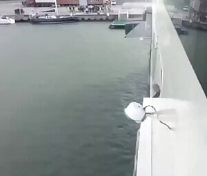 Advancement in rescue technology