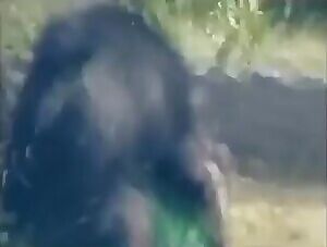 Sloth Bear Mauling