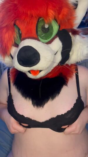 Solo Furries Big Tits Boobs Furry