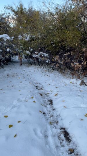 Cold & Snow Amateur Babe Brunette