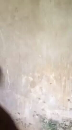 Please Caption this...