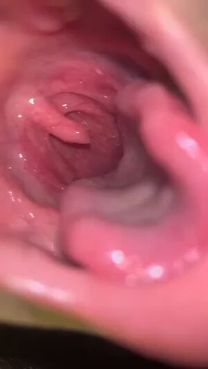 Split Tongues Long Tongue