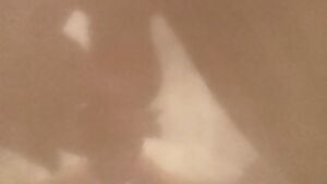 Pull back the curtain