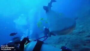 the first time I tried ecstasy. it wasn't a dance it was saving the earth from freezer