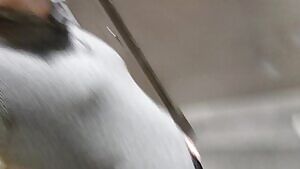 I really shouldn't be reading the reponses at my work party. Now I have to conceal this