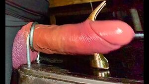 BDSM Humiliation Big Dick CBT Cockslap