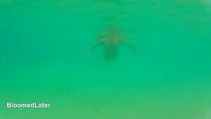 elt this GIF should accompany today's mermaid post! 🧜‍♀️🌹