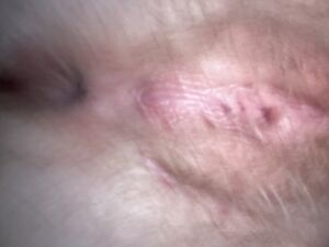 Food Play Ass Petite Pussy
